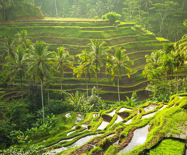 wisata6